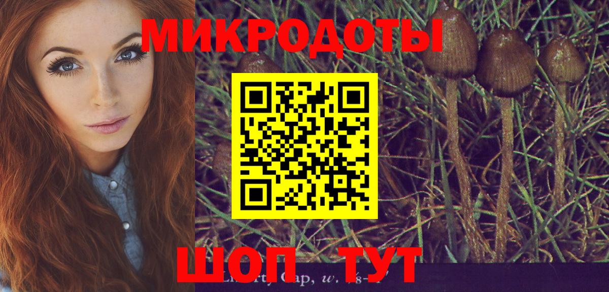 Галлюциногенные грибы Cubensis Краснокаменск